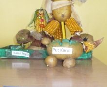 konkurs swieto kukurydzy buraka ziemniaka (3)